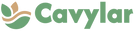 Cavylar